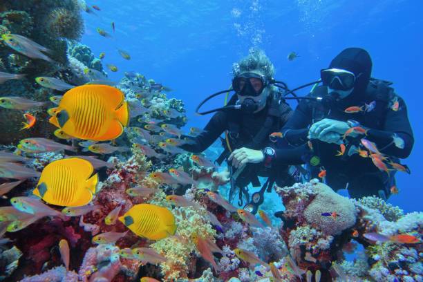 Plongée sous-marine à l’île Maurice