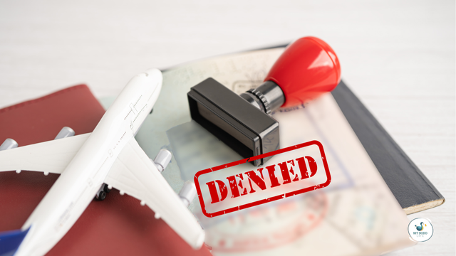 Visa Refusée