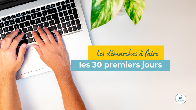 démarches administratives Maurice