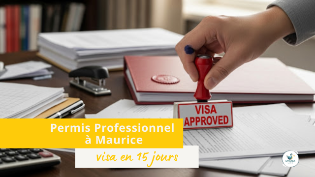 Permis professionnel à maurice
