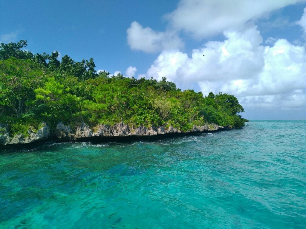 Île aux Aigrettes à Maurice